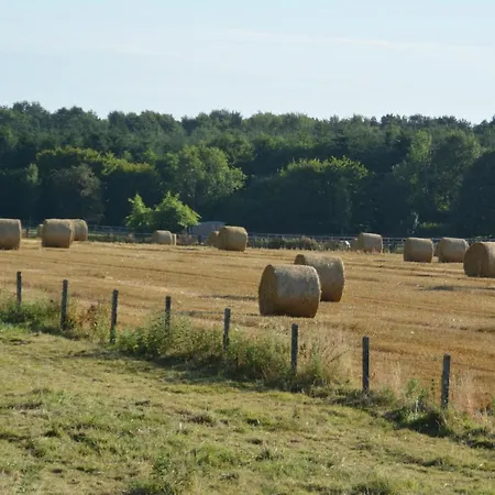 Bed & Breakfast - Le Moussel Lieurey
